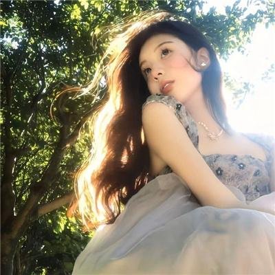 蜘蛛的策略