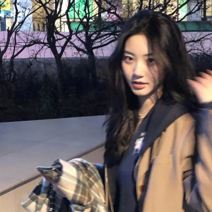 世界街头女斗士3